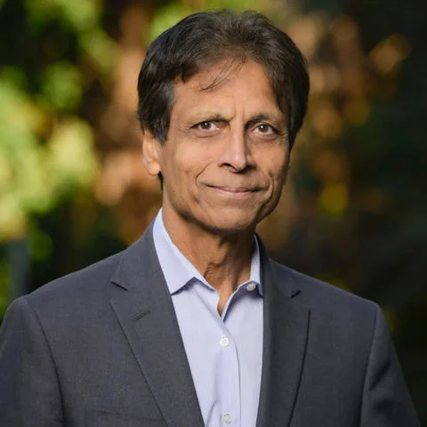 P.K. Agarwal